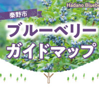 秦野ブルーベリー農園ガイド