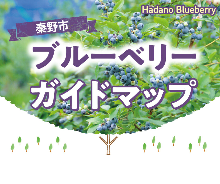 秦野ブルーベリー農園ガイド