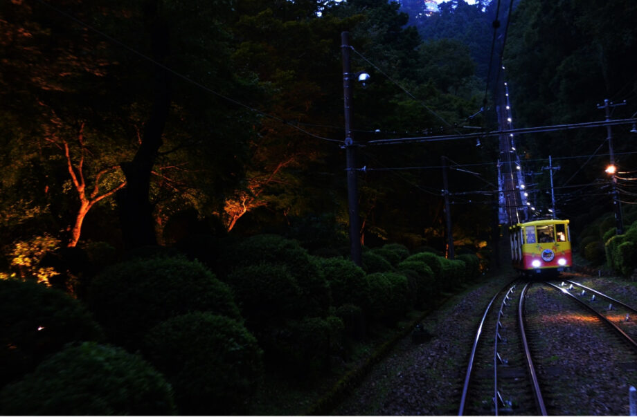 夕暮れ時の高尾山「灯りの巡礼・夕涼みライトアップ」開催中　9月27日まで