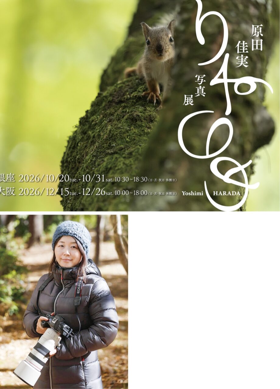 【入場無料】”リスの視点”の作品一堂に~自然写真家、原田佳実さんの写真展「りすのめ」開催@キヤノンギャラリー銀座