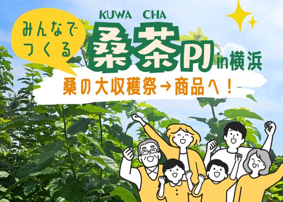 みんなで作る桑茶プロジェクト in 横浜－桑の大収穫祭－