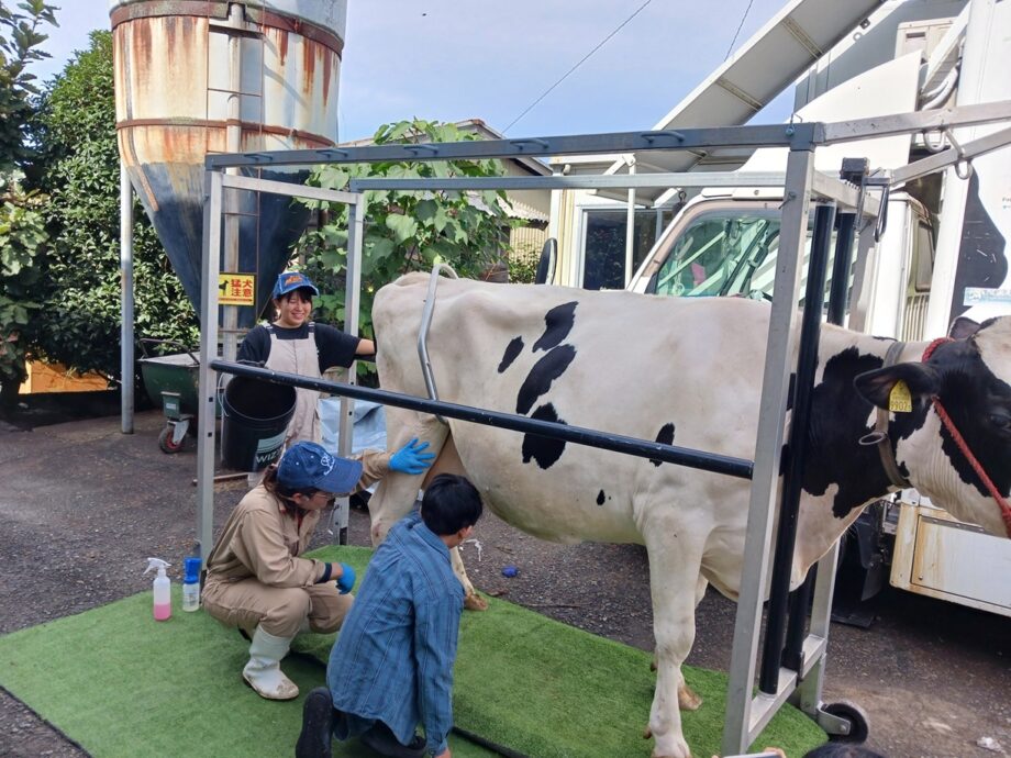 11 月7日（土）、「相鉄線沿線 学びクラブ with EXPO」イベント「酪農体験」を開催