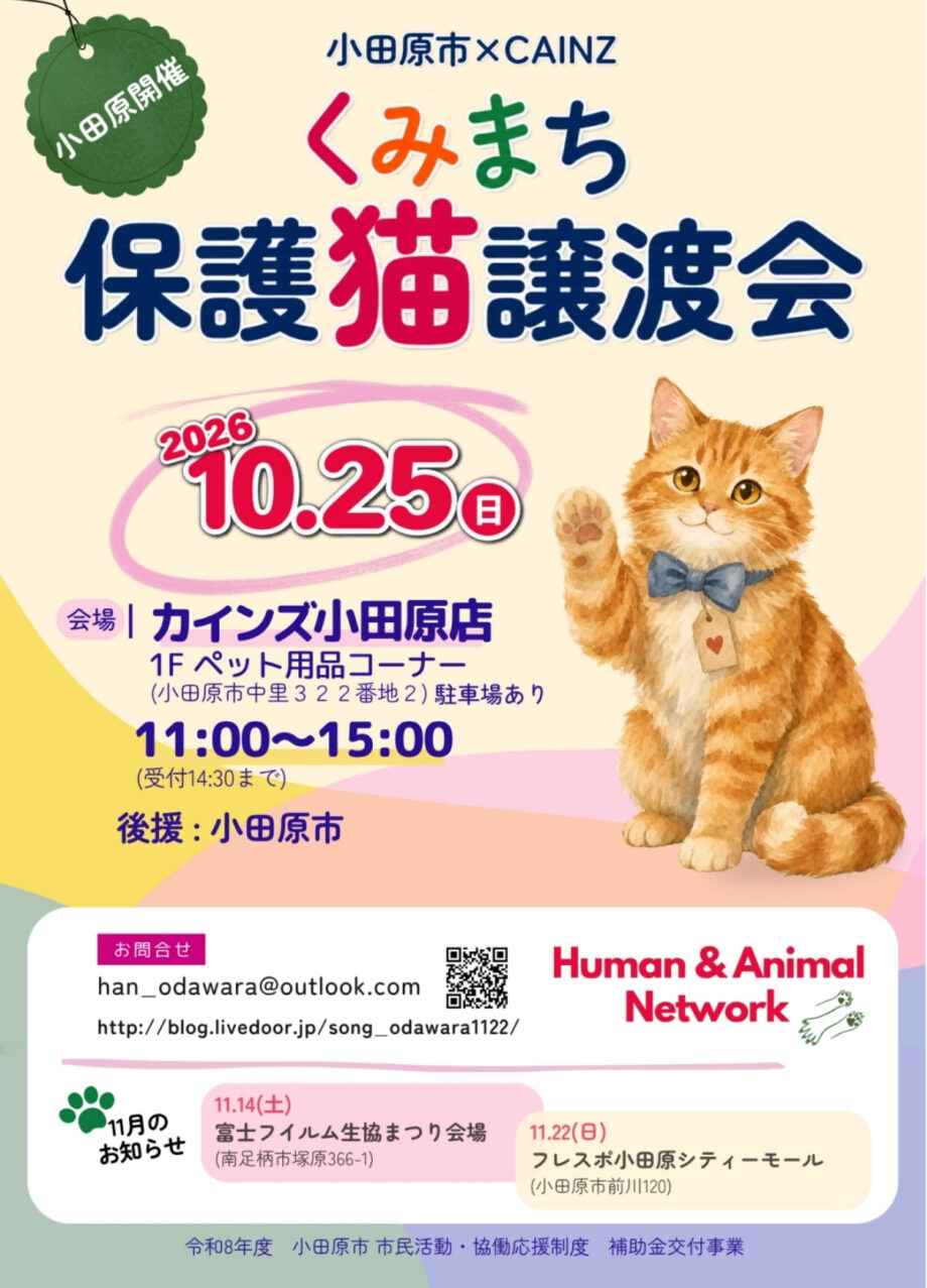 保護猫譲渡会