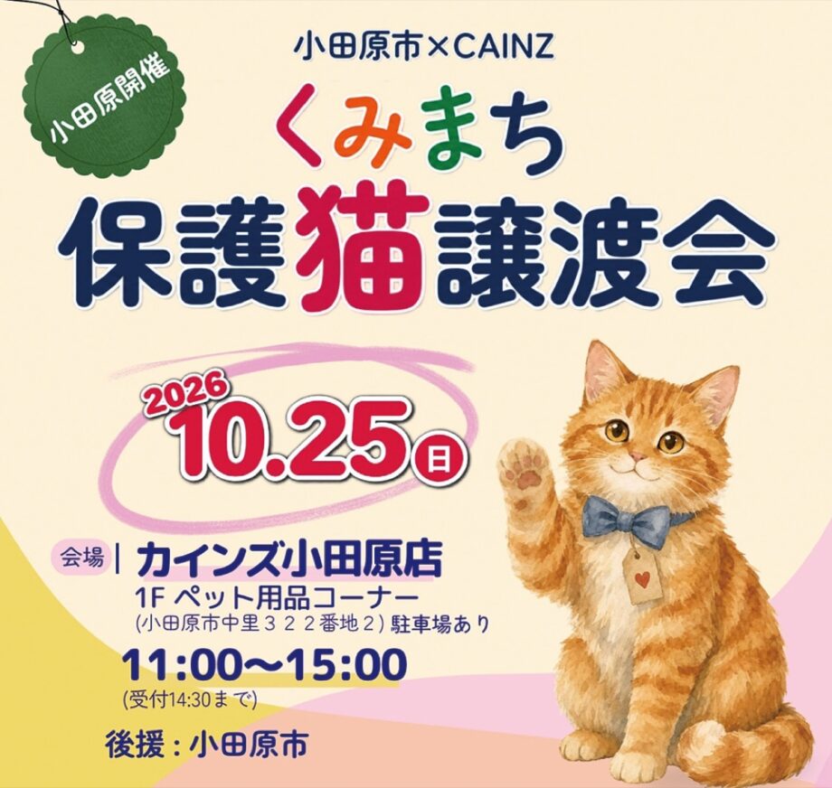 保護猫譲渡会