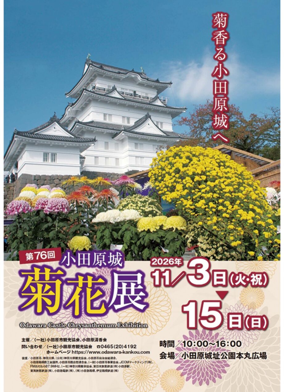 秋を彩る風物詩、小田原城で「菊花展」約500点を展示〈11月3日～15日〉