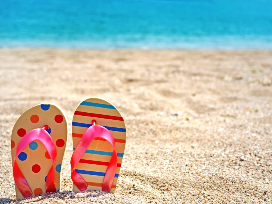 大磯港でフリーマーケット開催【10月24日(土)、25日(日)】日用品からキッチンカーや魚の直売!