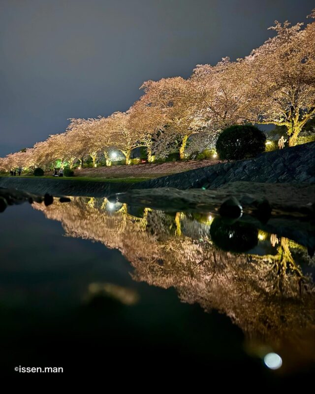 水無川桜並木のリフレクションです

昨日に引き続き、リフレ投稿させて頂きます

川の中からリフレが撮れるのって、水が無い水無川ならではです😁
普通の川だと、びしょ濡れになりますもんね💦

#水無川の桜並木 #桜並木リフレクション #秦野市カルチャーパーク #秦野市 #水が無い川 #河原フリー散歩 #秦野桜日和 #hadasta #kanagawaphotoclub 
#zekkei_navi #mst_photo 
#visitjapan #visitjapanjp 
#1x_japan 
#かがやきフォトかながわ 
#you_tabi_nippon