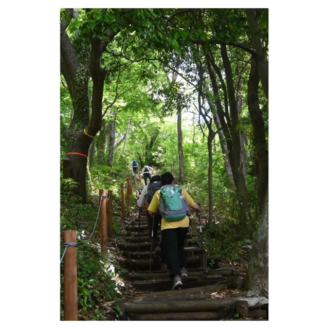 🚶🏿

新緑の中へ

弘法山公園

(神奈川県秦野市)

#低山歩き #弘法山公園 #新緑 #秦野山旅 
撮影日＝2025年5月13日